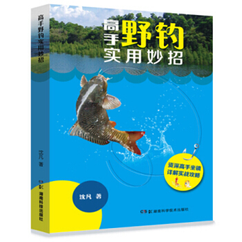 高手野釣實用妙招 pdf epub mobi 下载