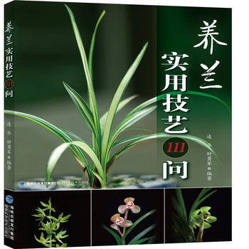 養蘭實用技藝111問 pdf epub mobi 下载