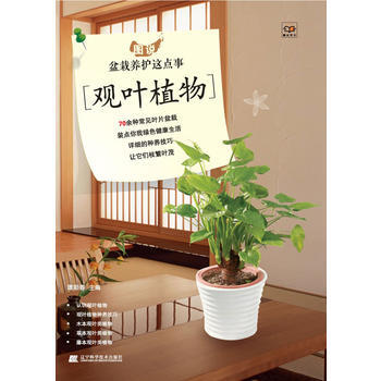 圖說盆栽養護這點事 觀葉植物 9787538176261 pdf epub mobi 下载