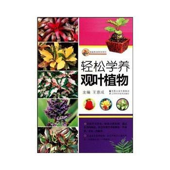 輕鬆學養觀葉植物 pdf epub mobi 下载