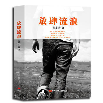 BF-放肆流浪-黄小黄 北京航空航天大学出版社 9787512417670 pdf epub mobi 电子书 下载