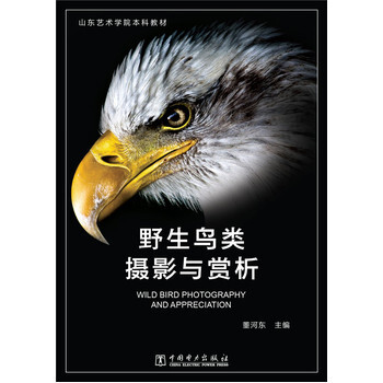 滿28包郵 野生鳥類攝影與賞析 pdf epub mobi 下载