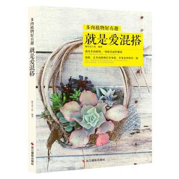 满28包邮 就是爱混搭 pdf epub mobi 下载