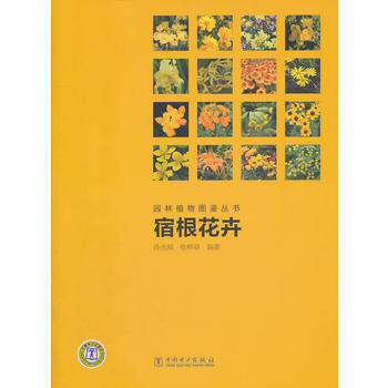 满28包邮 园林植物图鉴丛书 宿根花卉 pdf epub mobi 下载