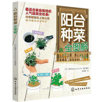 陽颱種菜全圖解 9787122131379 pdf epub mobi 下载