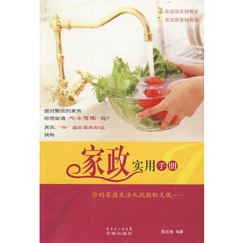 傢政實用手冊 pdf epub mobi 下载
