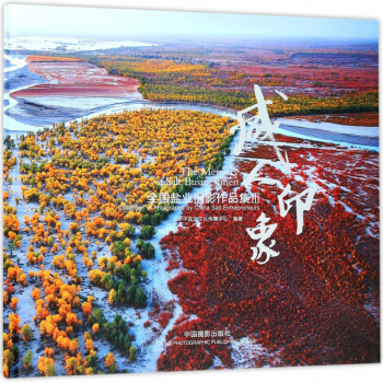 咸人印象(全国盐业摄影作品集Ⅲ)(精) pdf epub mobi 下载