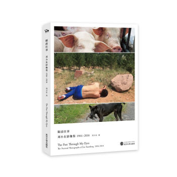 眼前往事：刘小东影像集1984—2018 摄影 书籍 pdf epub mobi 电子书 下载