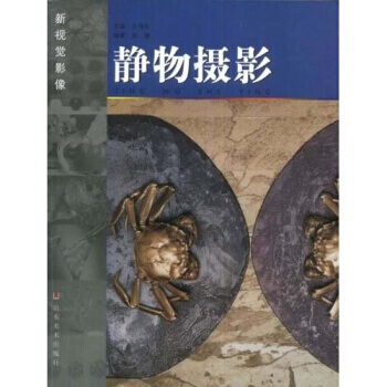 满28包邮 新视觉影像：静物摄影 pdf epub mobi 电子书 下载
