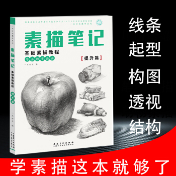 素描筆記素描基礎教程入門技法提升篇靜物素描書自學零基礎幾何形體石膏畫畫速學初學黑白畫教材臨摹範本 美 pdf epub mobi 下载