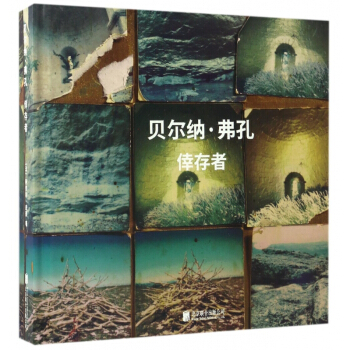 倖存者(精) pdf epub mobi 电子书 下载
