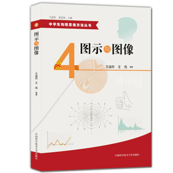 正版现货 中学生物理思维方法丛书 4 图示与图像 初中高中物理解题方法 物理难题 教学参考资料 pdf epub mobi 电子书 下载