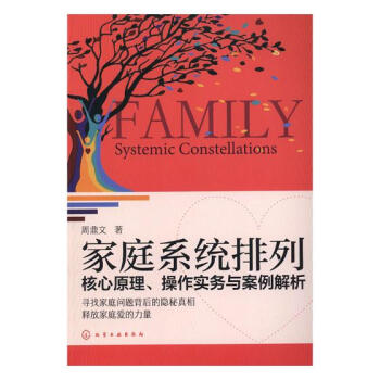 家庭系统排列:核心原理、作实务与案例解析 心理学 书籍