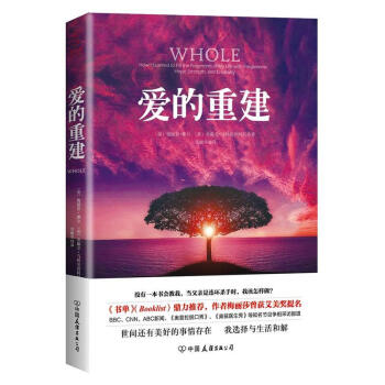 爱的重建 [美]梅丽莎路摩尔,[美]米歇尔路马特里西阿尼 中国友谊出版公司 pdf epub mobi 电子书 下载