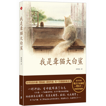 满28包邮 我是聋猫大白鲨