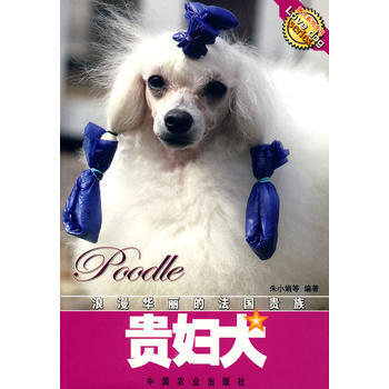 满28包邮 贵妇犬