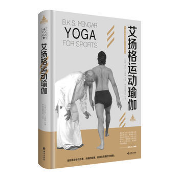 艾扬格运动瑜伽 pdf epub mobi 下载