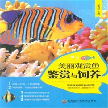 美丽观赏鱼鉴赏与饲养