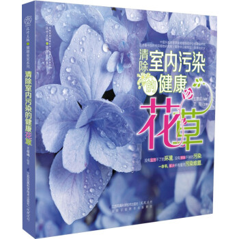 满28包邮 清除室内污染的健康花草