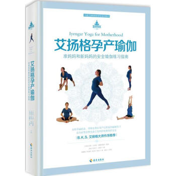 艾扬格孕产瑜伽 医学 书籍