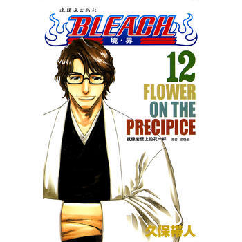 BLEACH 境 界12 9787505611092 连环画出版社