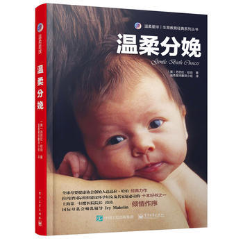 温柔分娩 pdf epub mobi 下载