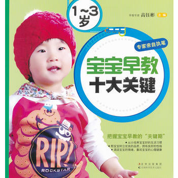 1-3岁宝宝早教十大关健 pdf epub mobi 下载