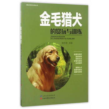 满28包邮 金毛猎犬的赏玩与训练
