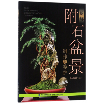 图解附石盆景制作与养护(彩图版) pdf epub mobi 电子书 下载