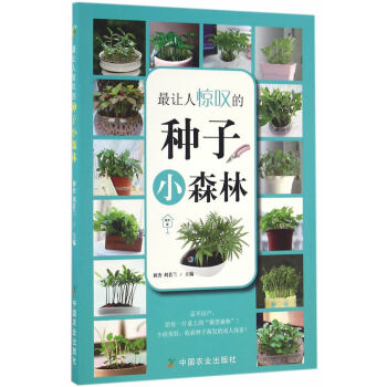 让人惊叹的种子小森林(园艺 家)