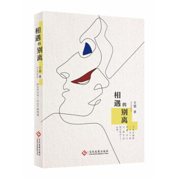 相遇的别离 王斌 文化发展出版社 pdf epub mobi 电子书 下载