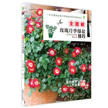 正版图书 全图解玫瑰月季爆盆技巧 9787535282460 湖北科学技术出版社 铃木满男