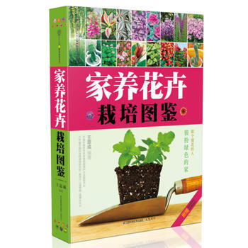 家养花卉栽培图鉴(汉竹) 装扮绿色的家 做个懂花的人 王意成 江苏科学技术出版社