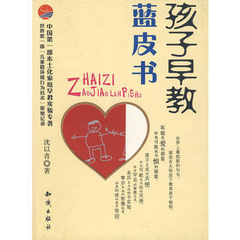 孩子早教蓝皮书 pdf epub mobi 下载