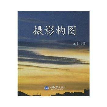 摄影构图 9787562451778 pdf epub mobi 下载