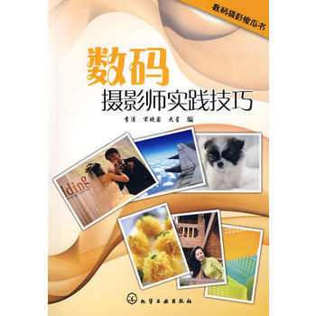 数码摄影傻瓜书--数码摄影师实践技巧 9787122066503 pdf epub mobi 下载