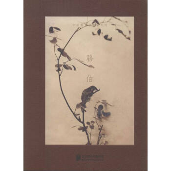 中国摄影书典藏系列：骆伯年 摄影 书籍 pdf epub mobi 电子书 下载