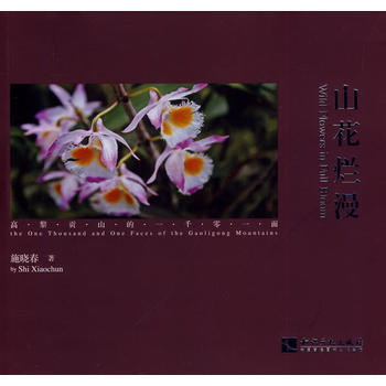 山花烂漫 9787513025331