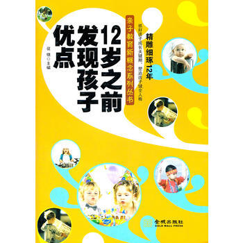 {RT}精雕细琢12年-征维 金城出版社 9787802513716