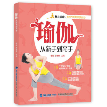 瑜伽从新手到高手 9787533545574 pdf epub mobi 电子书 下载