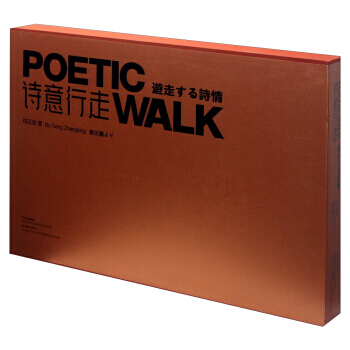 诗意行走 9787541046445 pdf epub mobi 电子书 下载