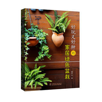 {RT}好玩又好种的家居绿色盆栽-理想·宅 中国电力出版社 9787512385597