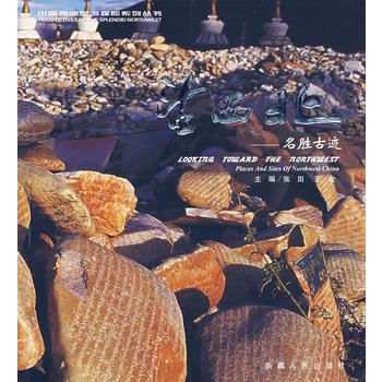 望西北——名勝古跡 9787228070589 pdf epub mobi 下载