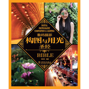 数码摄影构图与用光圣经 9787512351301 中国电力出版社