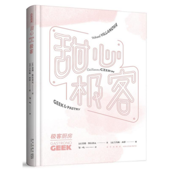 甜心極客 pdf epub mobi 下载