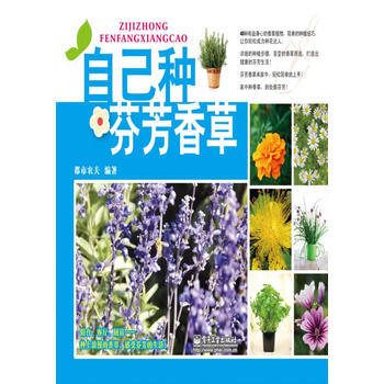 自己种芬芳香草(全彩)