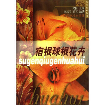 大众花卉丛书:宿根球根花卉