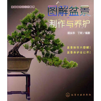 家庭园艺DIY系列--图解盆景制作与养护 9787122072443 化学工业出版社 pdf epub mobi 电子书 下载