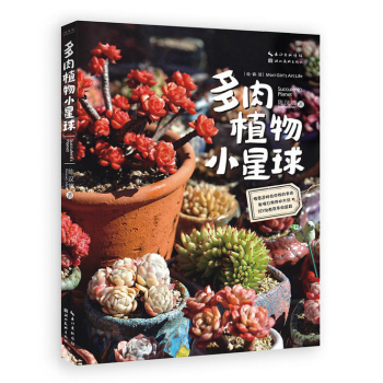 绘森活-多肉植物小星球 pdf epub mobi 电子书 下载
