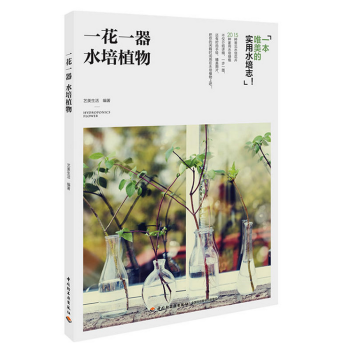 一花一器 水培植物